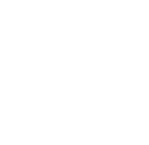 Logo Wally